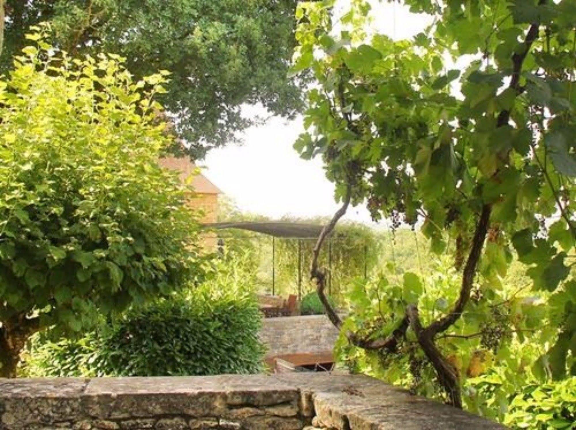 Chambres D'Hotes Avec Piscine La Rossillonie Beynac-et-Cazenac Buitenkant foto